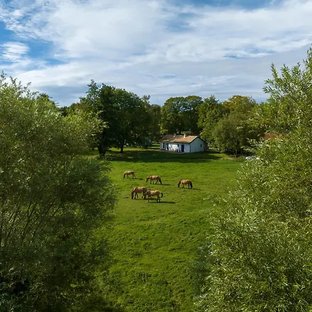 Cottages Du Domaine Du Marquenterre 3*