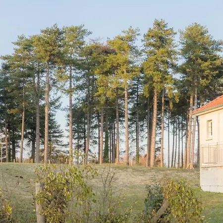 Du Domaine Du Marquenterre